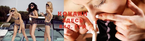 ECSTASY Алзамай