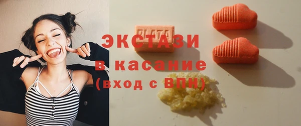 ECSTASY Алзамай
