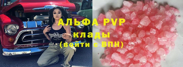ECSTASY Алзамай