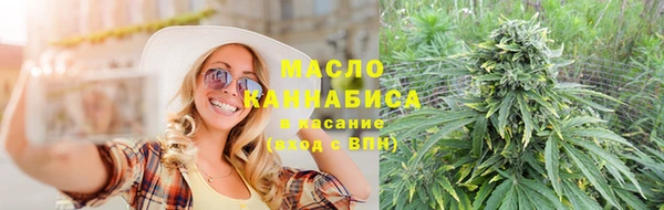 дмт Алексин