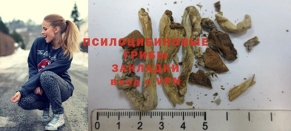 ECSTASY Алзамай