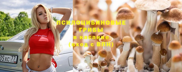 ECSTASY Алзамай