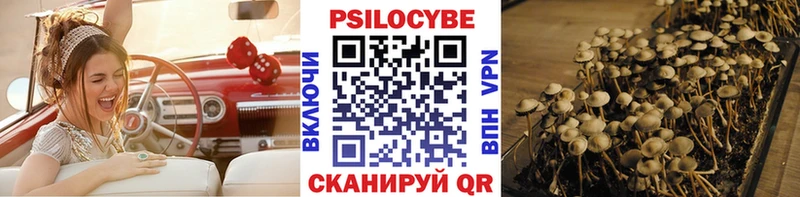 Галлюциногенные грибы Cubensis купить OMG tor Ядрин